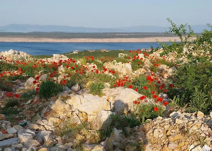 شقة Tusek جادرانوفو