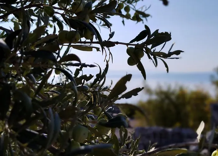 شقة Tusek جادرانوفو